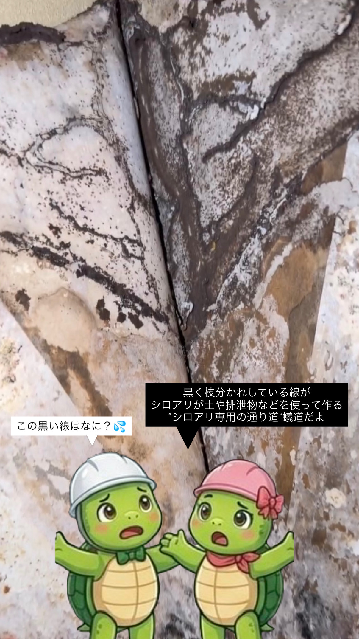 リフォーム